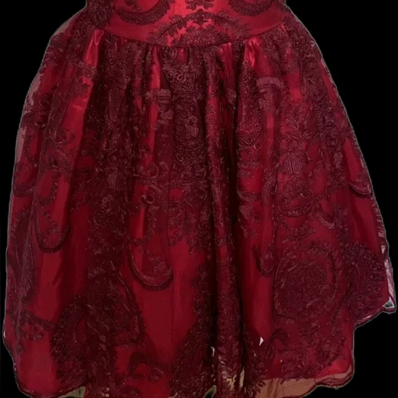 Chasing fireflies Red Burgundy scroll metallic embroidery Holiday dress 14
